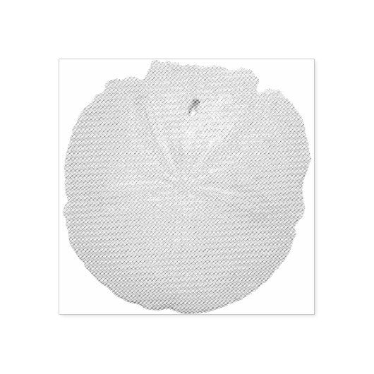 Zanddollarstempel Rubberstempel (Afrduk)