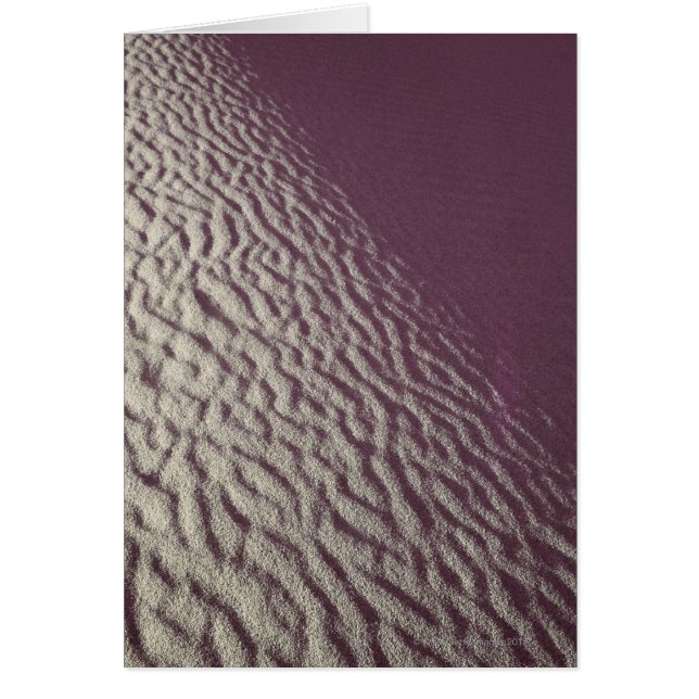 Zandduin 2 (Voorkant)