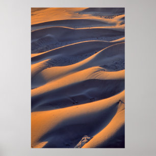 Zandduin Abstract Poster