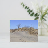 Zandduin Briefkaart (Staand voorkant)