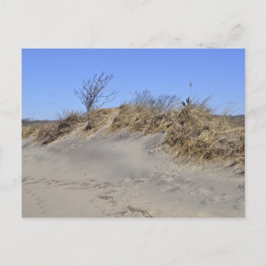 Zandduin Briefkaart (Voorkant)