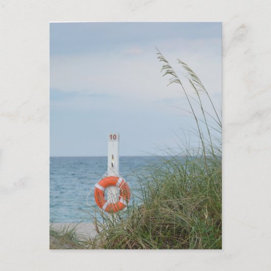 Zandduin en levensring fotografische kust briefkaart (Voorkant)