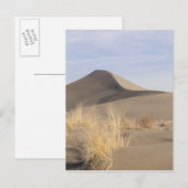 Zandduin-formaties. Bruneau Dunes State Park 2 Briefkaart (Voorkant / Achterkant)