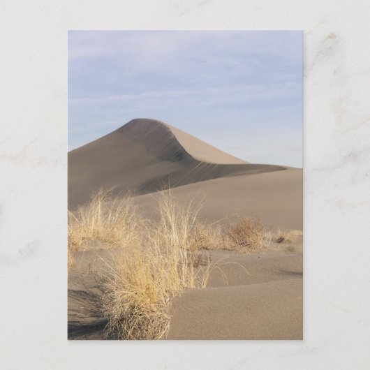 Zandduin-formaties. Bruneau Dunes State Park 2 Briefkaart (Voorkant)