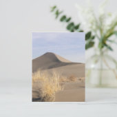 Zandduin-formaties. Bruneau Dunes State Park 2 Briefkaart (Staand voorkant)