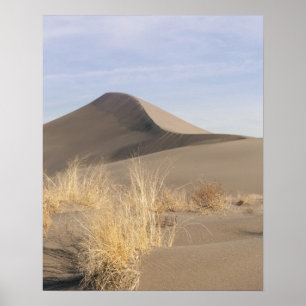 Zandduin-formaties. Bruneau Dunes State Park 2 Poster