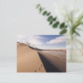 Zandduin-formaties. Bruneau Dunes State Park Briefkaart (Staand voorkant)