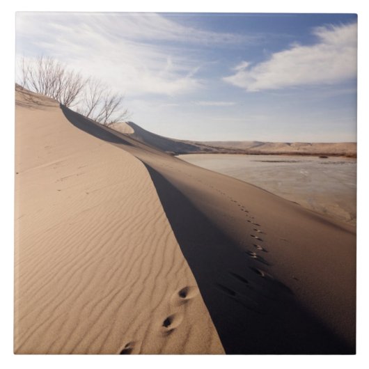 Zandduin-formaties. Bruneau Dunes State Park Tegeltje (Voorkant)
