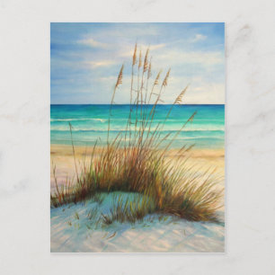 zandduinen 1.jpg briefkaart