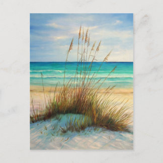 zandduinen 1.jpg briefkaart