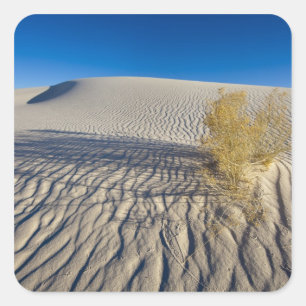Zandduinen bij White Sands National Monument in 3 Vierkante Sticker