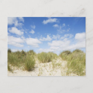Zandduinen Briefkaart