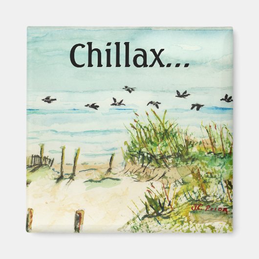 Zandduinen en zeemeeuwen Buitenbanken North Caroli Magneet (Voorkant)