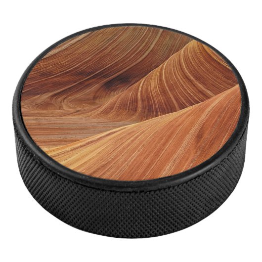Zandduinen hockey puck (3/4)
