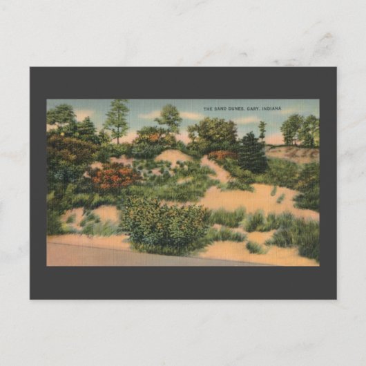  zandduinen in Gary IN Briefkaart (Voorkant)