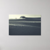 Zandduinen met Yucca Canvas Afdruk (Voorkant)