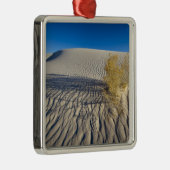 Zandduinen op het nationale witte zand-monument in metalen ornament (Rechts)