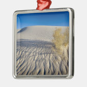 Zandduinen op het nationale witte zand-monument in metalen ornament (Links)