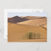 Zandduinen, Sahara, Marokko Briefkaart (Voorkant / Achterkant)
