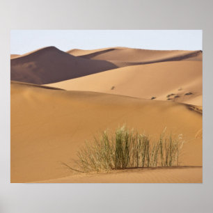 Zandduinen, Sahara, Marokko Poster