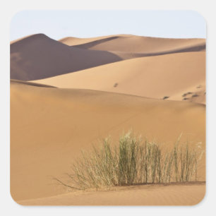 Zandduinen, Sahara, Marokko Vierkante Sticker