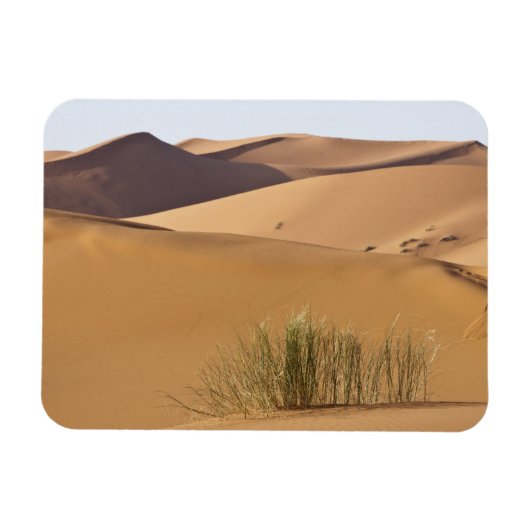 Zandduinen, Saharawoestijn, Marokko Magneet (Horizontaal)