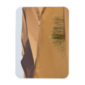 Zandduinen, Saharawoestijn, Marokko Magneet (Verticaal)