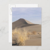 Zandduinen. State Park 2 Bruneau Dunes Briefkaart (Voorkant / Achterkant)