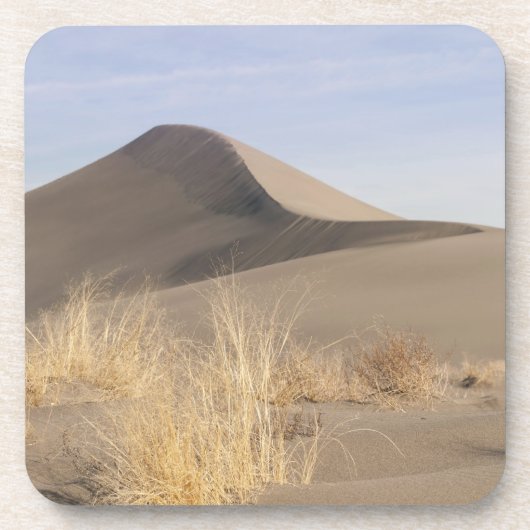 Zandduinen. State Park 2 Bruneau Dunes Drankjes Onderzetter (Voorkant)