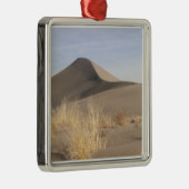 Zandduinen. State Park 2 Bruneau Dunes Metalen Ornament (Rechts)