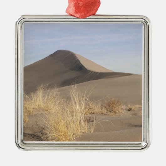 Zandduinen. State Park 2 Bruneau Dunes Metalen Ornament (Voorkant)