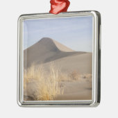 Zandduinen. State Park 2 Bruneau Dunes Metalen Ornament (Links)