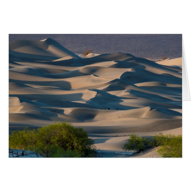 Zandduinlandschap, Californië (Voorkant Horizontaal)