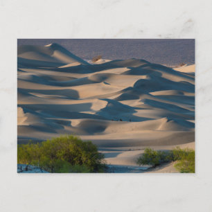 Zandduinlandschap, Californië Briefkaart