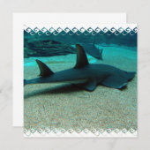 Zandhaaienuitvindingen Kaart (Voorkant / Achterkant)