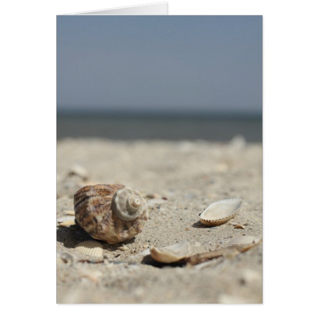 Zandhellingen door de Zee (Voorkant)