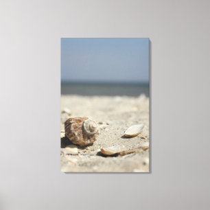 Zandhellingen door de Zee Canvas Afdruk