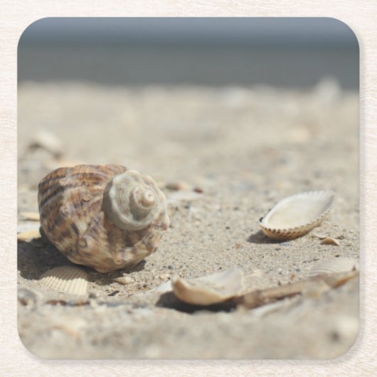 Zandhellingen door de Zee Kartonnen Onderzetters (Voorkant)