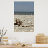 Zandhellingen door de Zee Poster (Keuken)