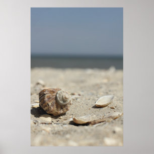 Zandhellingen door de Zee Poster