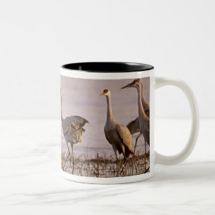 Zandheuvelkraan Grus canadensis) Platte Tweekleurige Koffiemok