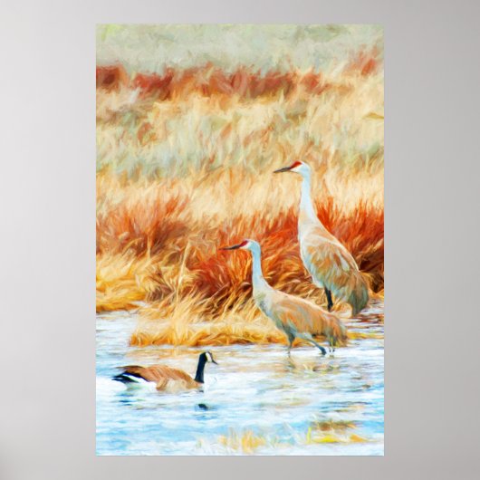 Zandheuvelkraanvogels & Gans Poster (Voorkant)