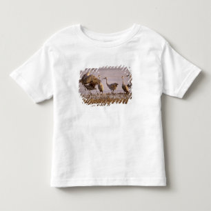 Zandheuvelkraanvogels Grus canadensis) Platte Kinder Shirts
