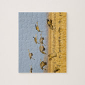 Zandheuvelkranen op maïsvelden legpuzzel (Verticaal)