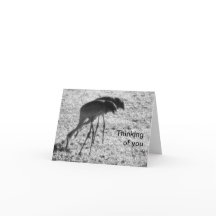 Zandheuvelkranen over denken van je kaart