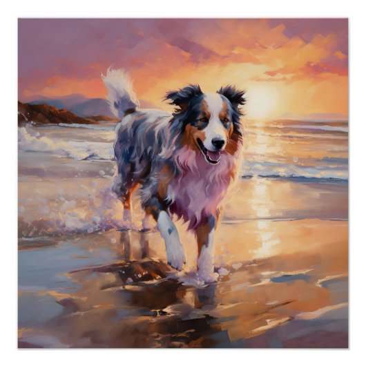Zandige Australische Herder Hond op Strand Zonsond Perfect Poster (Voorkant)