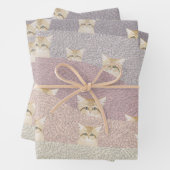 Zandkatten — Papierbladen overvullen Inpakpapier Vel (In situ)