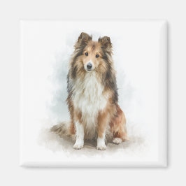 Zandkleurige Shetland Sheepdog Aquarel Kunst Magneet