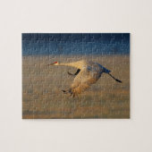 zandkraan legpuzzel (Horizontaal)