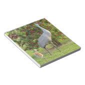 Zandkraan met een kuiken op het Notitieblok met bo (Schuin)